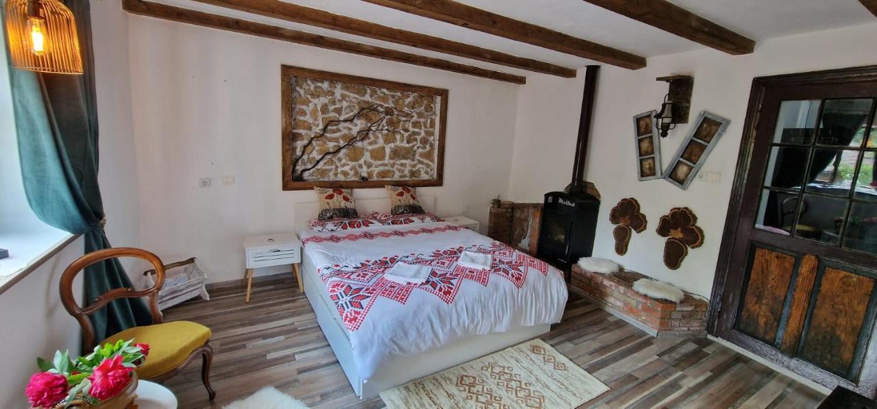 Casageo Cheile Nerei Vila Socolari Exterior foto